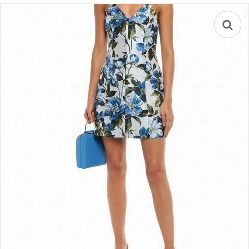 Alice + Olivia White Floral Mini Dress with Blue Flowers